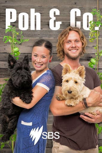 Poster for Poh & Co.