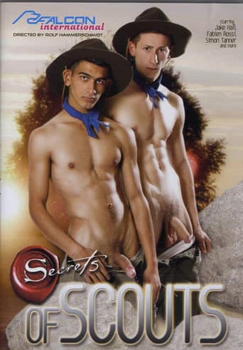 Poster for Secrets of Scouts
