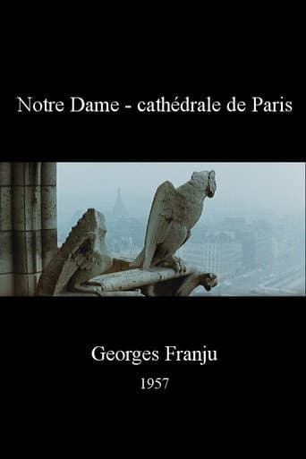 Poster for Notre Dame, cathédrale de Paris