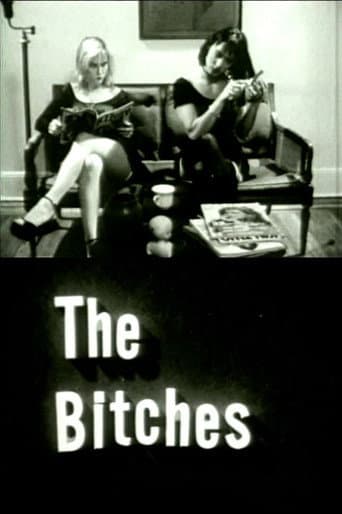 Poster for The Bitches