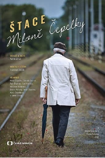 Poster for Miloš Čepelka's Steps