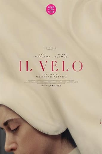 Poster for The Veil