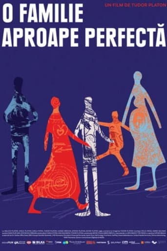 Poster for An Almost Perfect Family