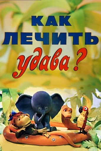 Poster for How to cure Boa?
