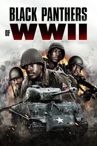 Poster for Black Panthers of WWII