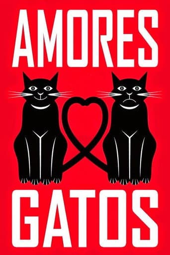 Poster for Amores Gatos