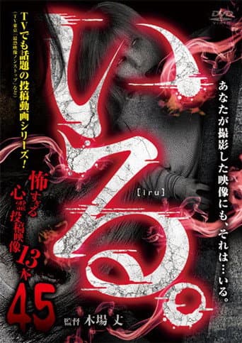 Poster for 「Iru.」~ Kowasugiru Tōkō Eizō 13-hon ~ Vol.45