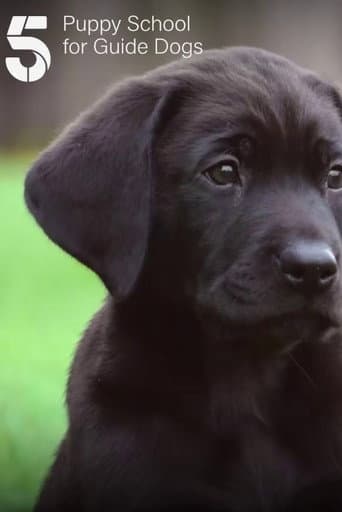 Poster for Puppy School for Guide Dogs