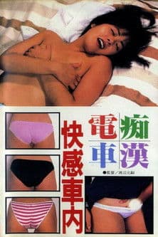 Poster for Groper Train: Pleasure Inside the Car