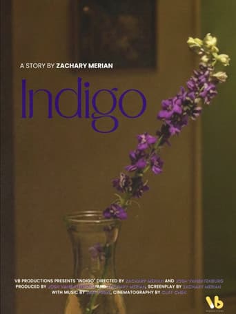 Poster for INDIGO