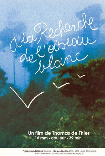 Poster for A la recherche de l'oiseau blanc