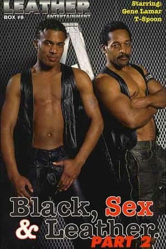 Poster for Black, Sex & Leather 2