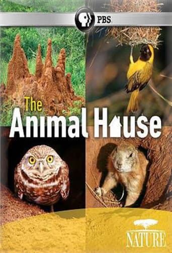 Poster for The Animal House