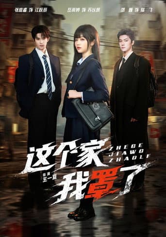 Poster for 这个家我罩了