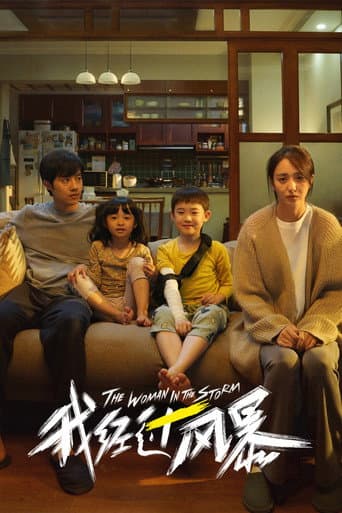 Poster for The Woman in the Storm