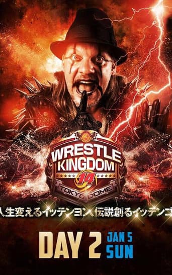 Poster for NJPW Wrestle Kingdom 14: Night 2