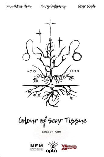 Poster for Colour of Scar Tissue