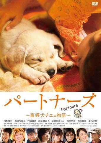 Poster for Partners