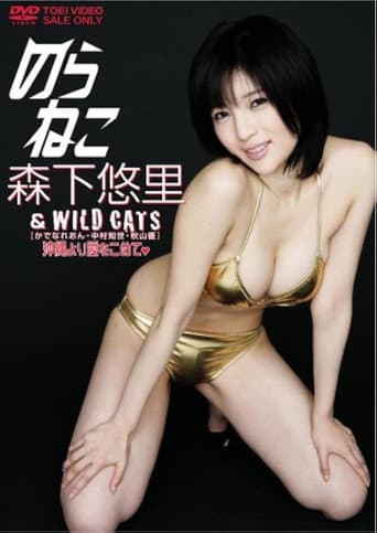Poster for のらねこ 森下悠里 & WILD CAT’S/かでなれおん・中村知世・秋山優 沖縄より愛をこめて
