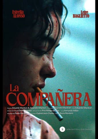 Poster for The Classmate