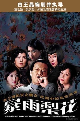 Poster for 暴雨梨花