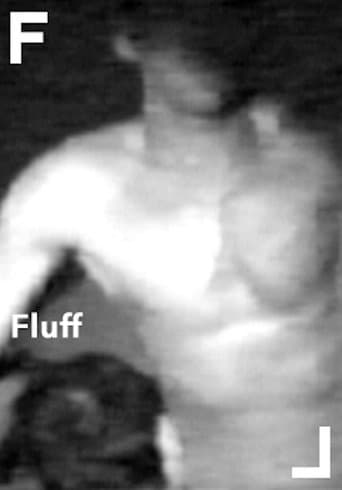 Poster for Fluff