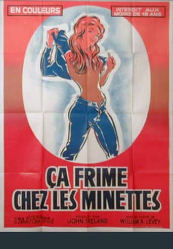 Poster for Ça frime chez les minettes