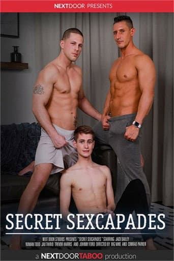 Poster for Secret Sexcapades