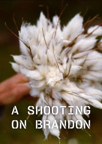 Poster for A Shooting on Brandon