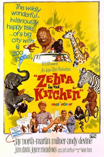 Poster for Zebra in the Kitchen
