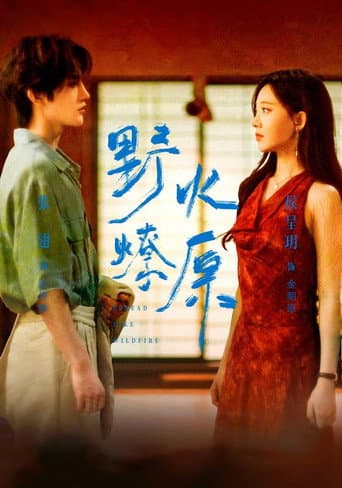 Poster for 野火燎原