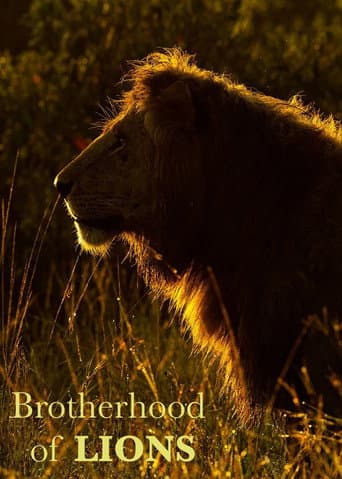 Poster for Brotherhood of Lions