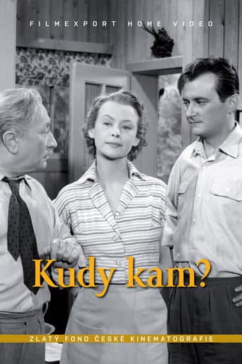 Poster for Kudy kam?