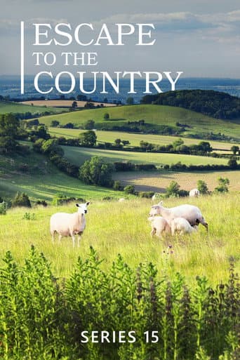 Poster for Series 15