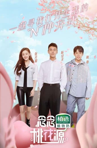 Poster for The Pursuit of Happiness