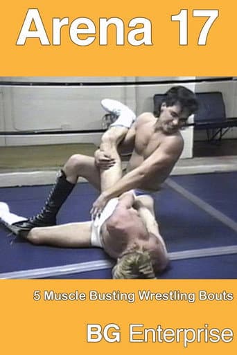 Poster for Arena 17