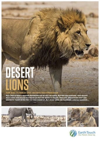 Poster for Desert Lions