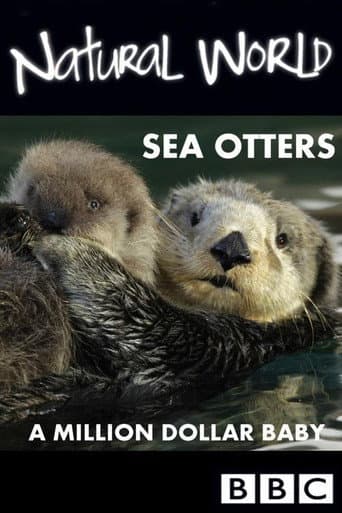 Poster for Sea Otters: A Million Dollar Baby