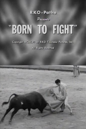 Poster for Born to Fight