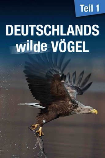 Poster for Deutschlands wilde Vögel