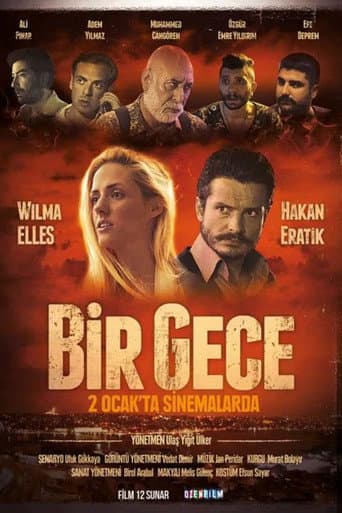 Poster for Bir Gece