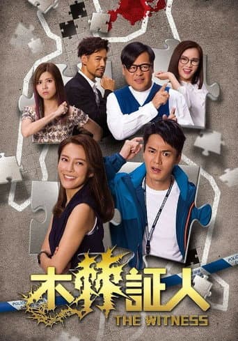 Poster for The Witness