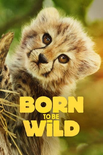 Poster for Born to Be Wild