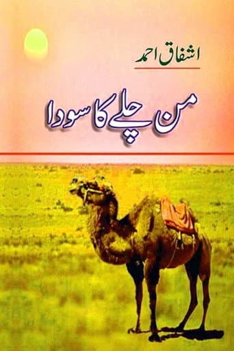 Poster for Mann Chalay Ka Sauda