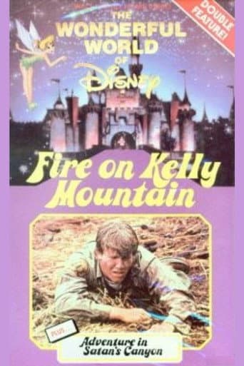 Poster for Fire on Kelly Mountain