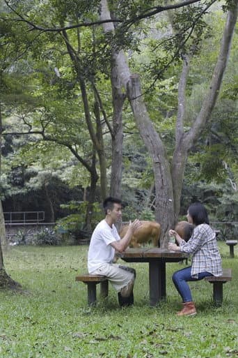 Poster for The Cow Caretaker