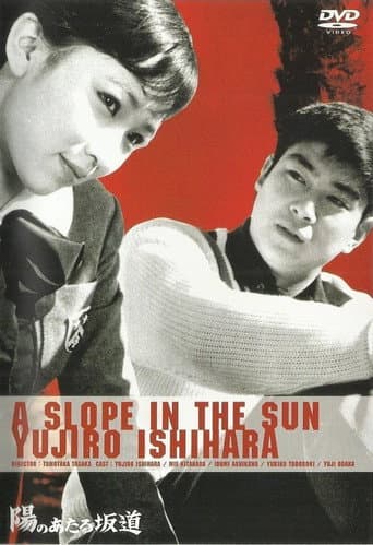 Poster for A Slope in the Sun