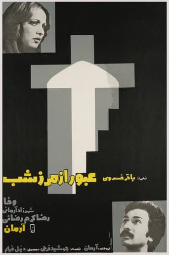 Poster for Crossing the Night