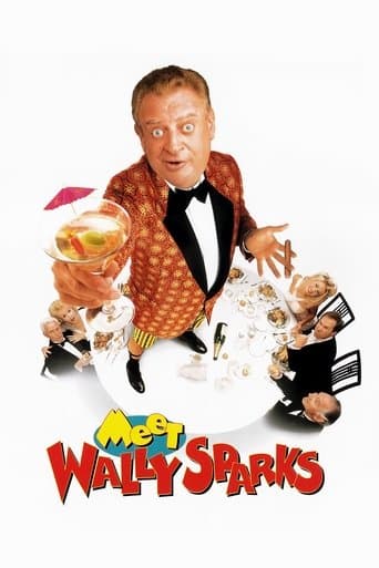 Poster for Meet Wally Sparks