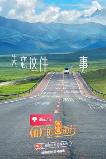 Poster for 灿烂的前行